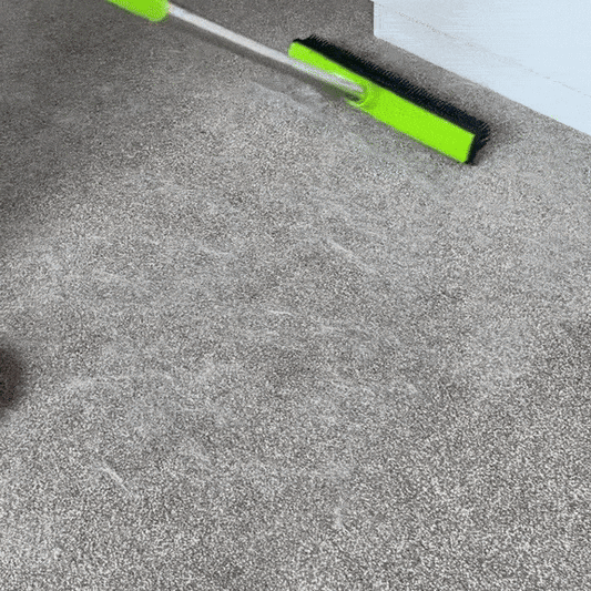 Pet Hair Removal broom